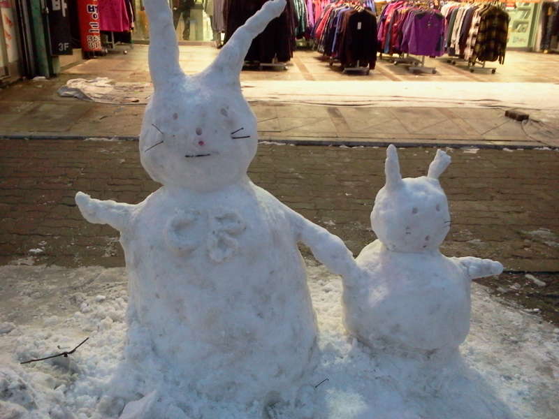 2011-01-18 17_closeup06060043.jpg
