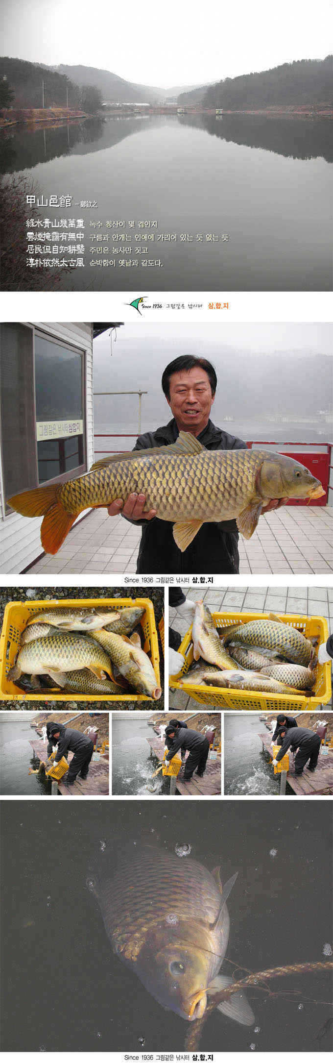 0213-2 copy_fish_pay11224722.jpg