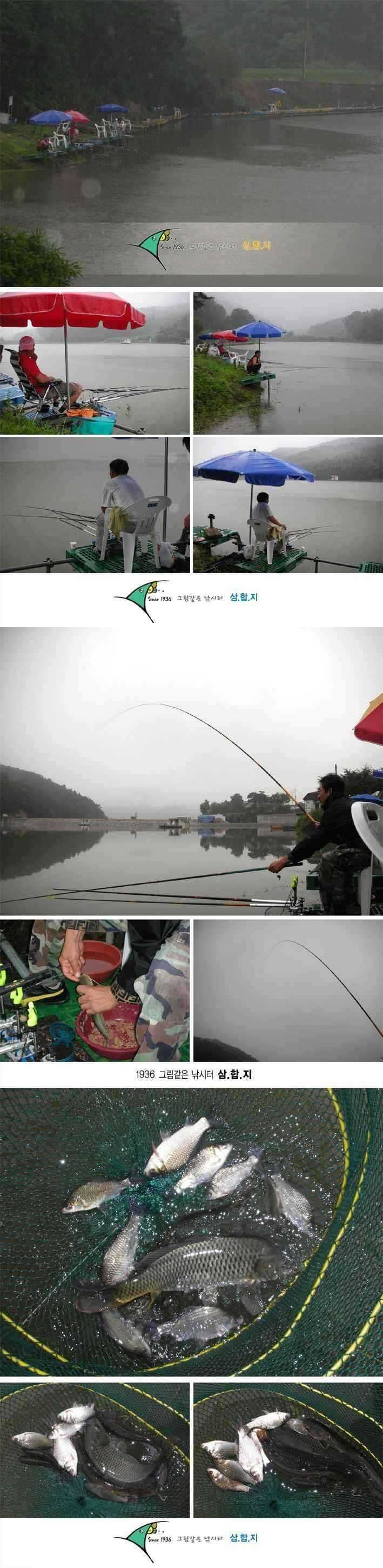 0722-1 copy_fish_pay02391361.jpg