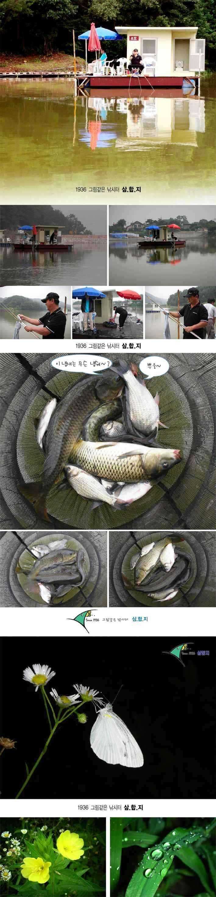 0722-3 copy_fish_pay02392691.jpg