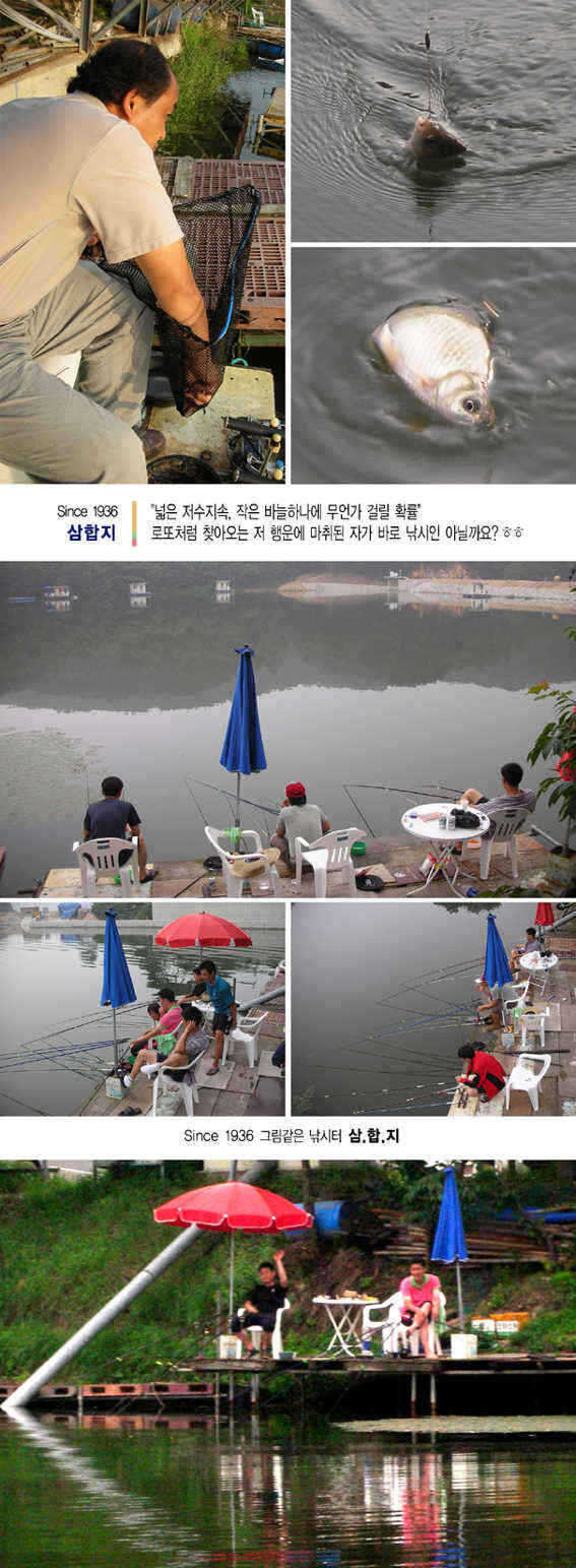 0729-2 copy_fish_pay01570524.jpg