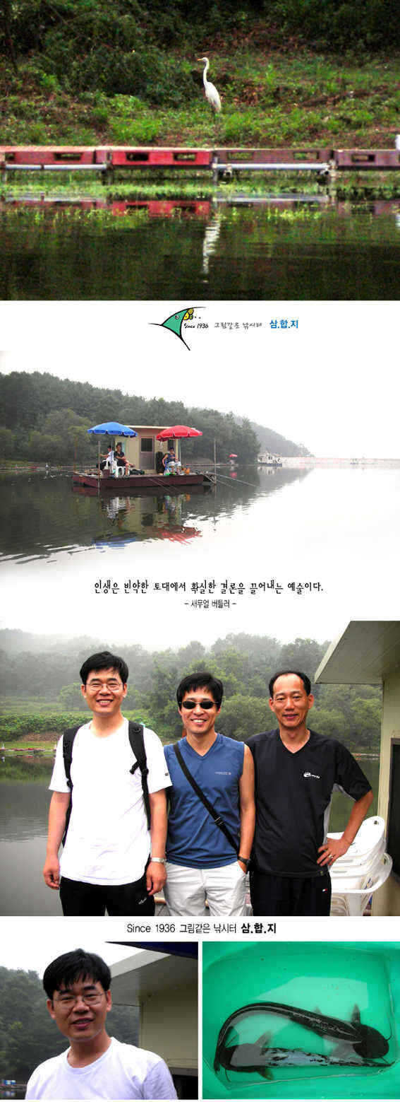 0729-3 copy_fish_pay01575356.jpg