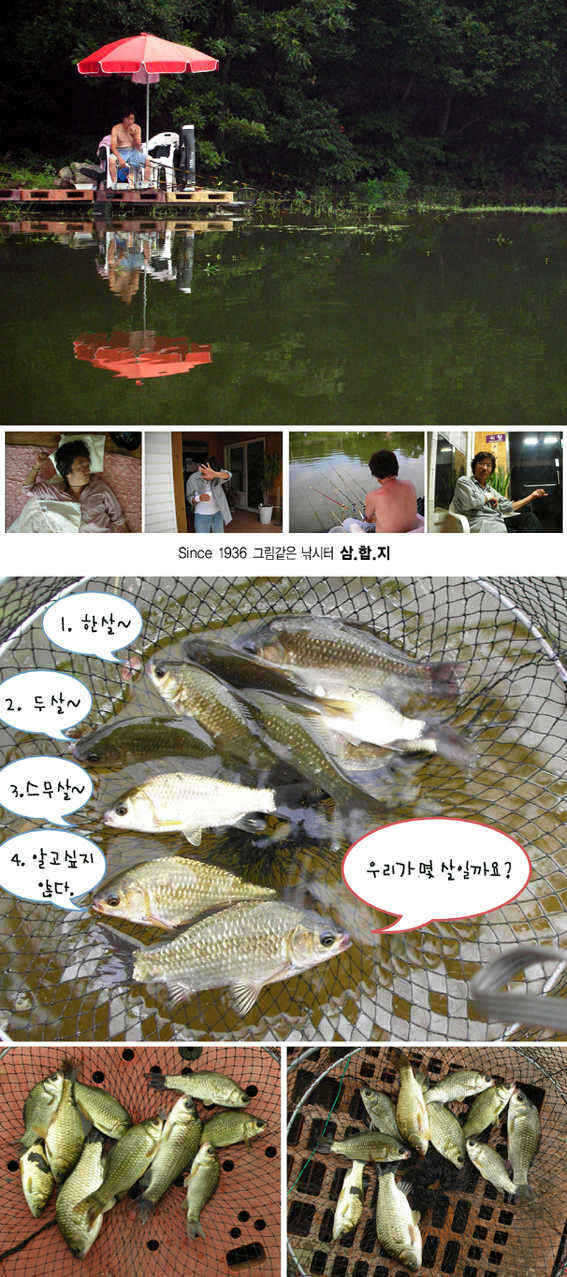 0729-4 copy_fish_pay01582343.jpg