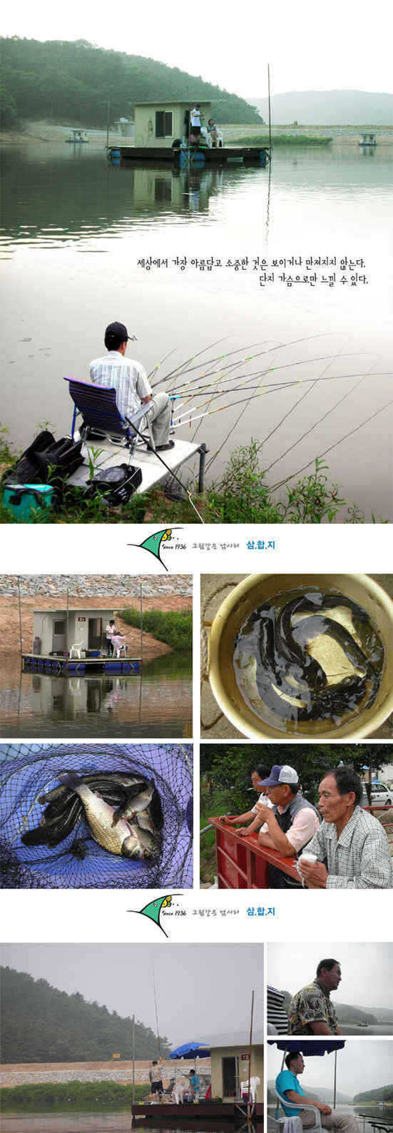 1-0708-5 copy_fish_pay07033627.jpg