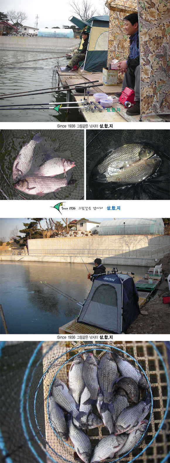 2-0309-2 copy_fish_pay03555347.jpg