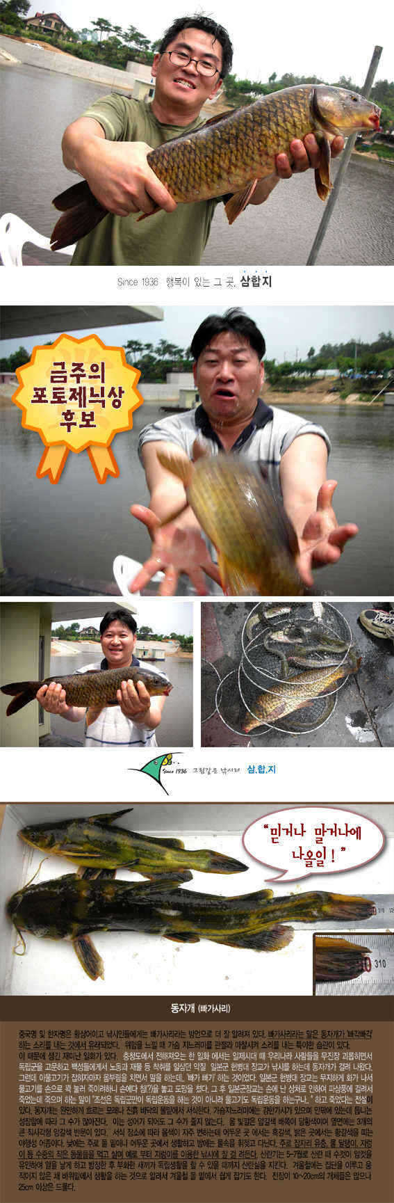 4-0701-1 copy_fish_pay08540941.jpg
