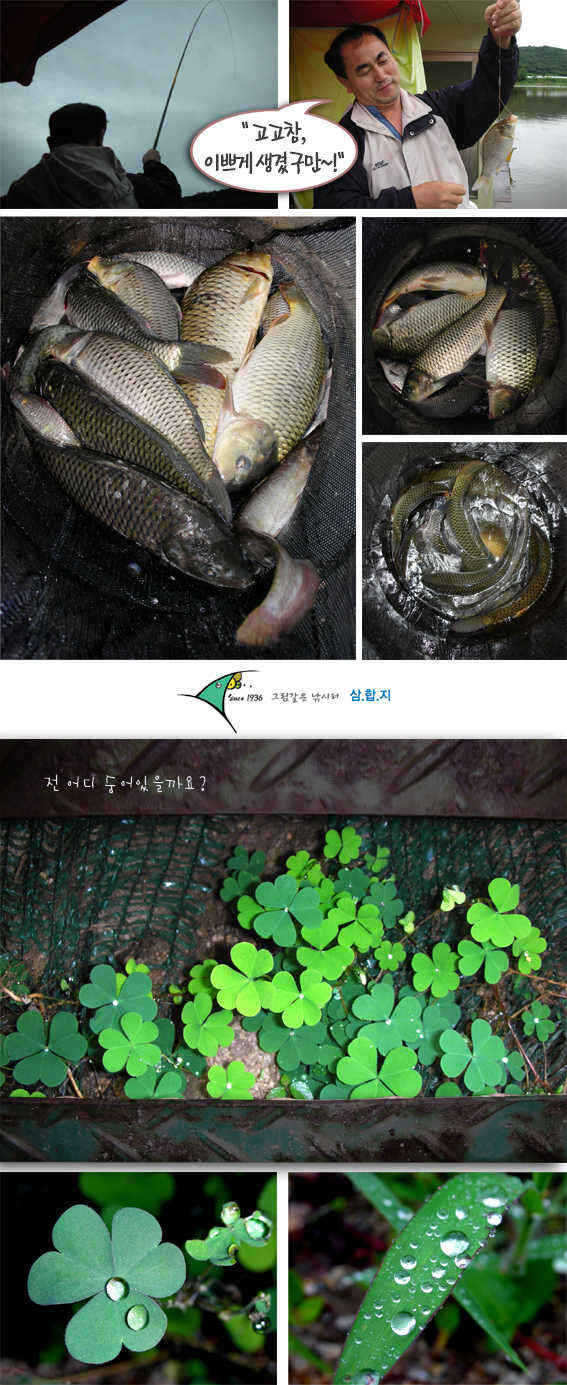 6-0701-6 copy_fish_pay08545650.jpg