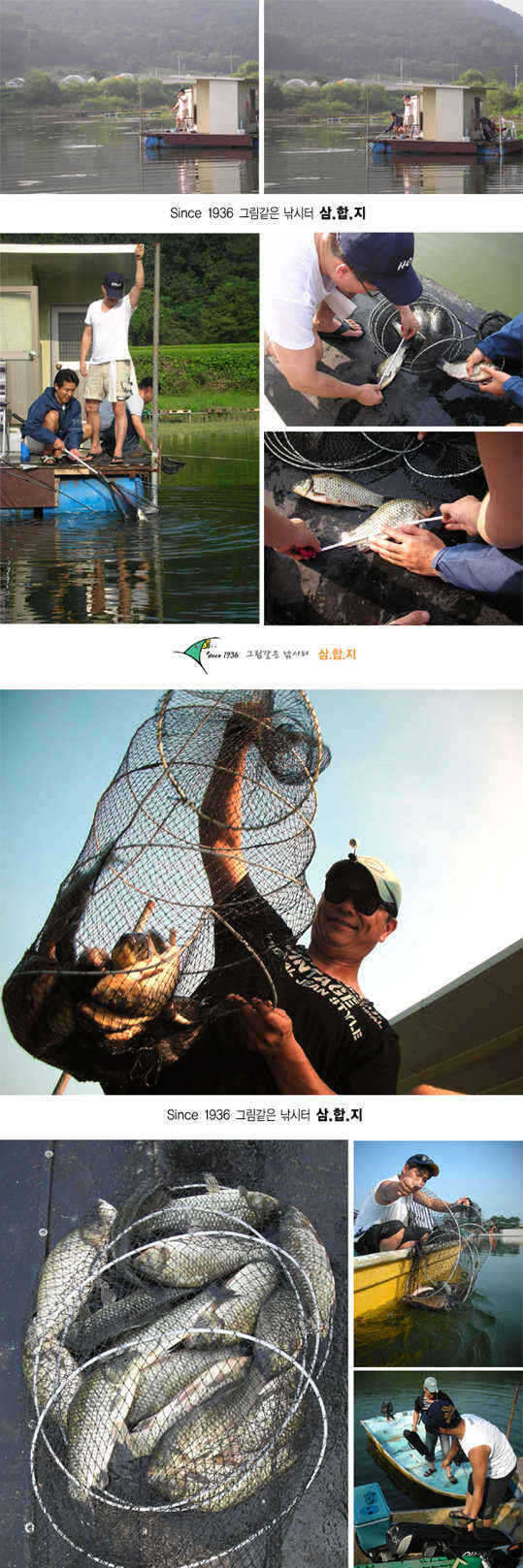 6-0826-5 copy_fish_pay12453092.jpg