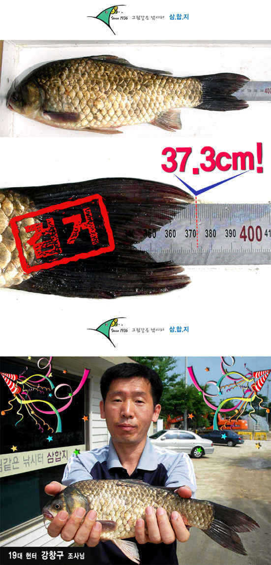 8-0708-1 copy_fish_pay07060937.jpg