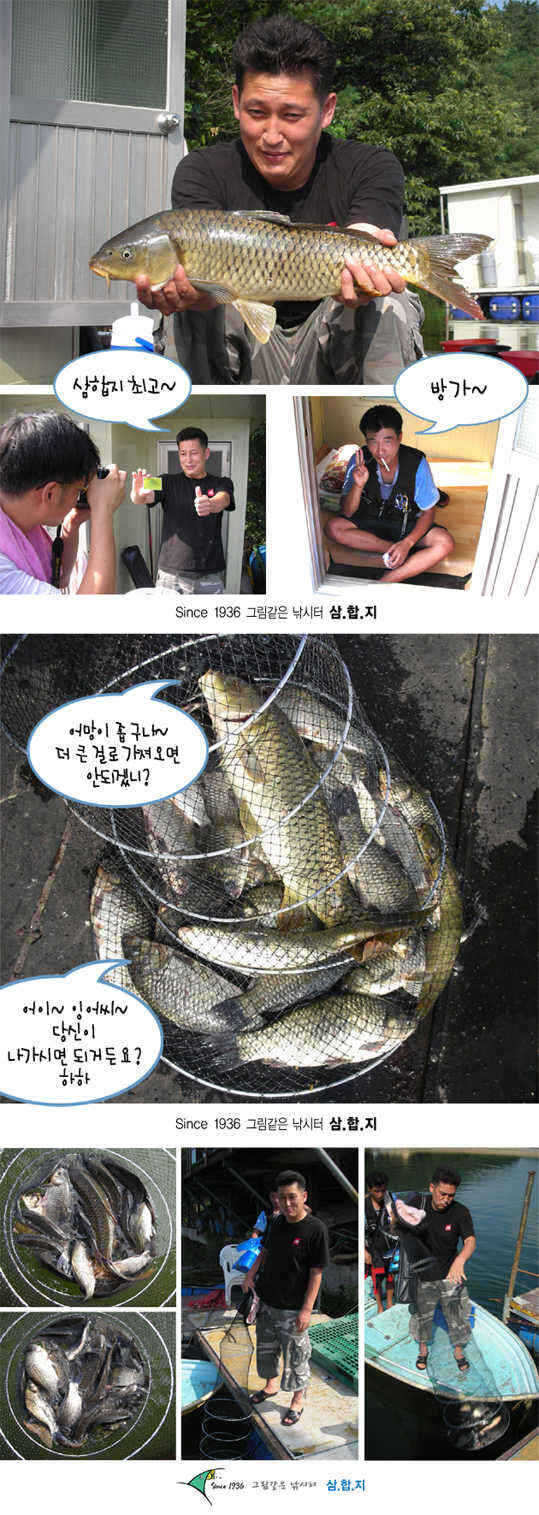 8-0826-6 copy_fish_pay12461850.jpg