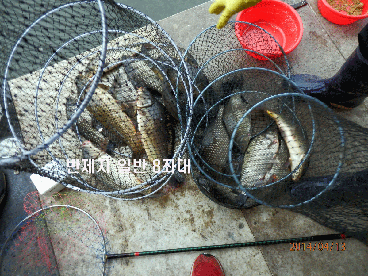 fish_pay_10541278.gif