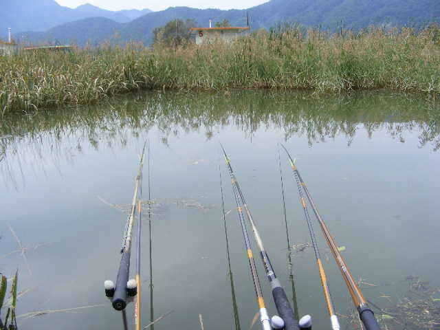 gak 001_fish_pay02155114.jpg
