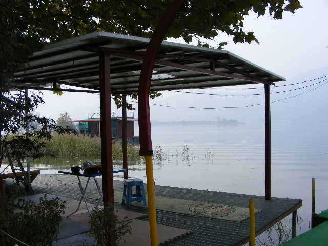 gak 132_fish_pay12412419.jpg