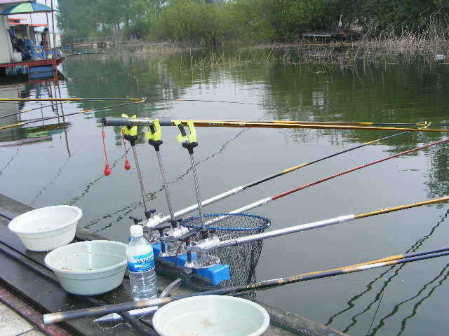 jjs 243_fish_pay11162259.jpg