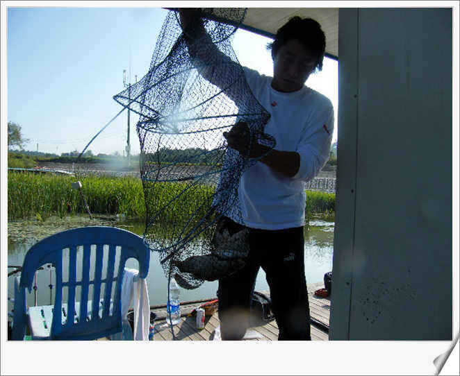 new 1240_fish_pay10202828.jpg