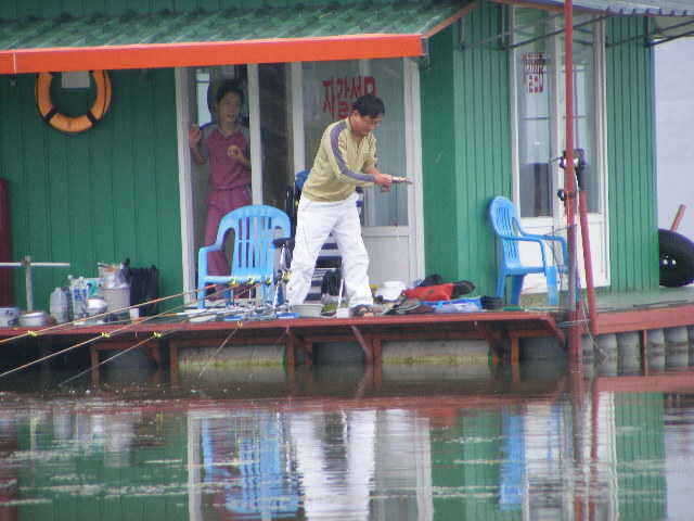 new 58666_fish_pay12583678.jpg