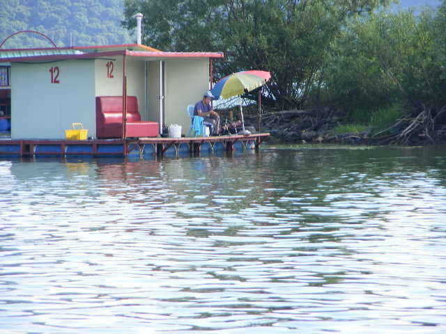 new 58835_fish_pay11124366.jpg