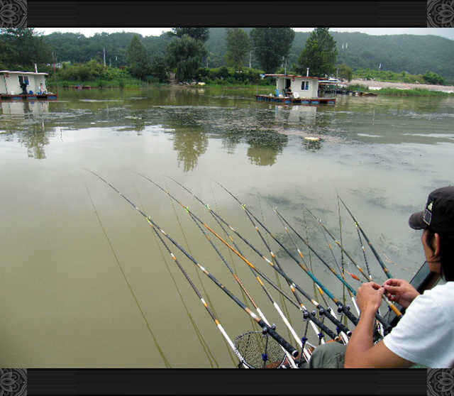new 908_fish_pay02553544.jpg
