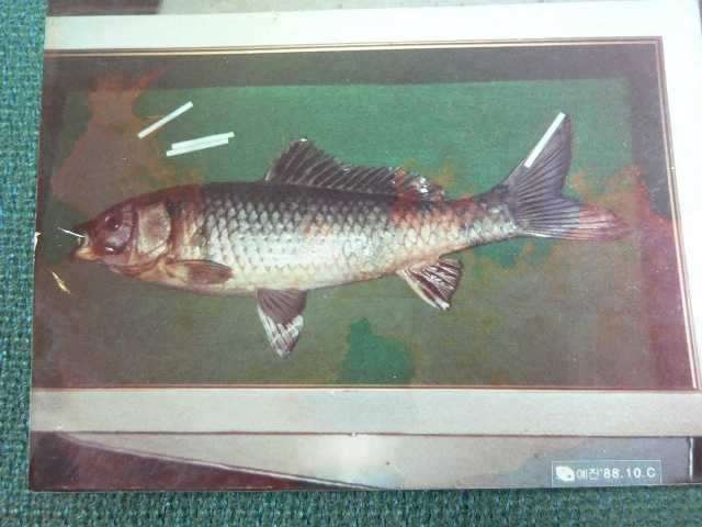 2009-02-02 14;32;09_freebd03222516.jpg