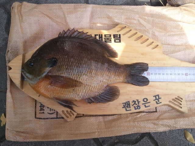 2010-11-19 11_freebd07074735.jpg