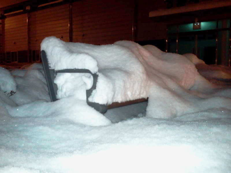 2011-01-01 00_freebd12390720.jpg