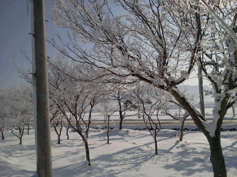 2011-01-02 11_freebd04271761.jpg