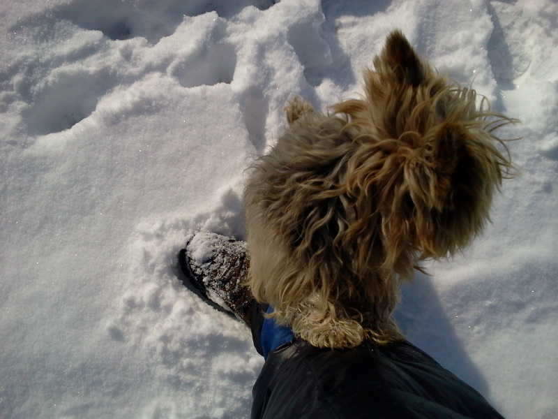 2011-01-02 11_freebd04314938.jpg