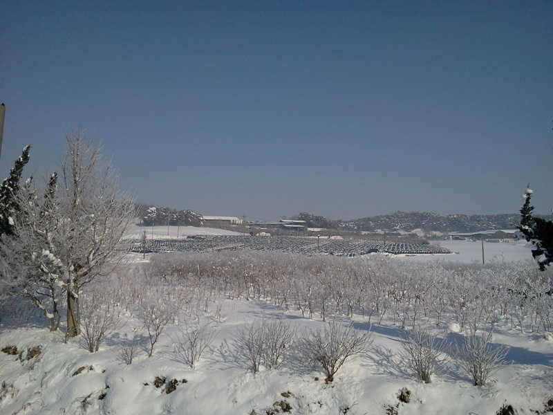 2011-01-02 11_freebd04333590.jpg