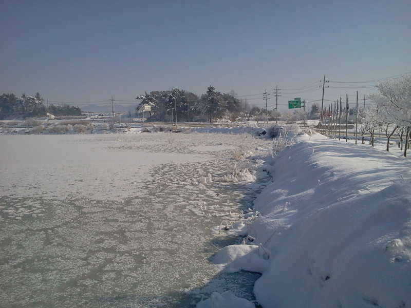 2011-01-02 11_freebd1256381.jpg