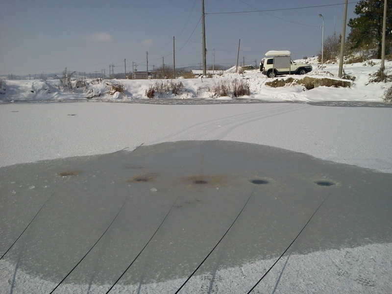 2011-01-02 12_freebd04340924.jpg
