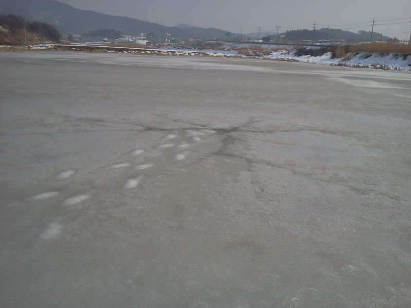 2011-02-04 14_18_49_freebd10352929.jpg