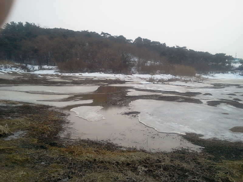 2011-02-06 13_freebd02420414.jpg