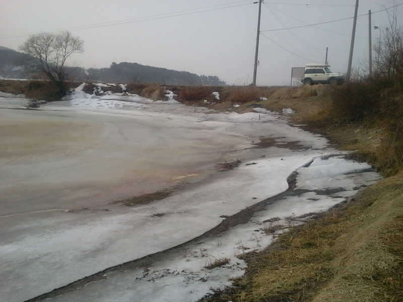 2011-02-06 13_freebd02442615.jpg