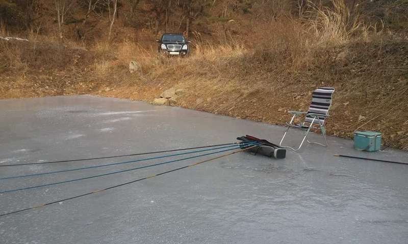 2011-02-13 09_freebd10424236.jpg