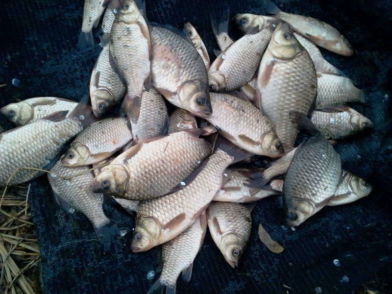 2011-02-27 14_freebd04105566.jpg
