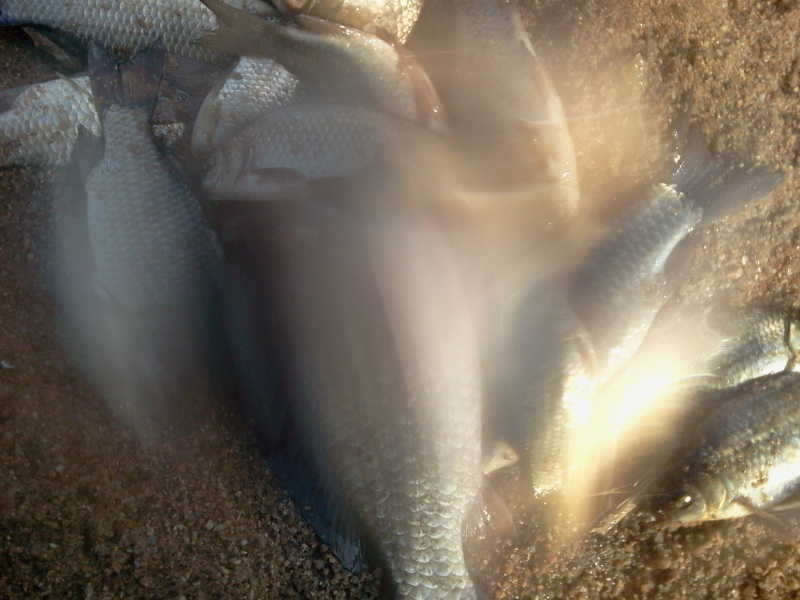 2011-03-06 15_freebd0501211.jpg