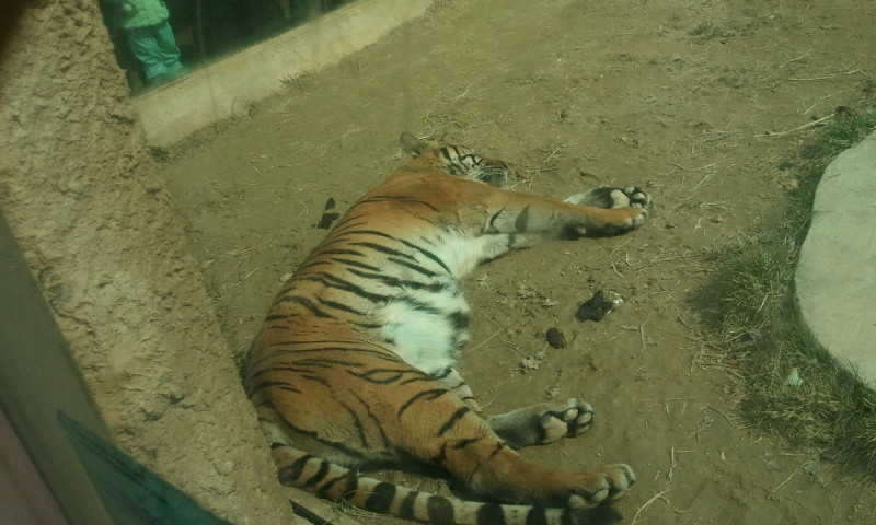 2011-03-12 11_freebd0342053.jpg
