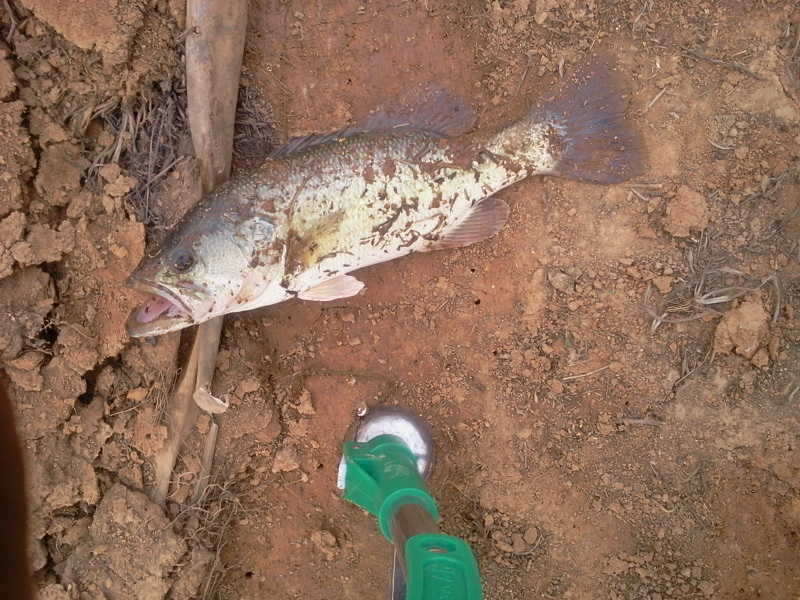 2011-04-02 17_freebd05283479.jpg