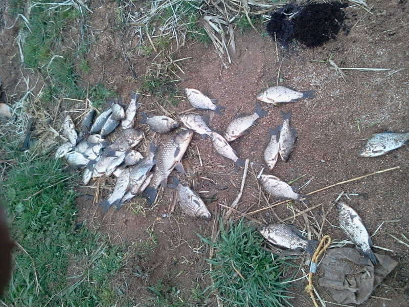 2011-04-03 16_freebd05274988.jpg