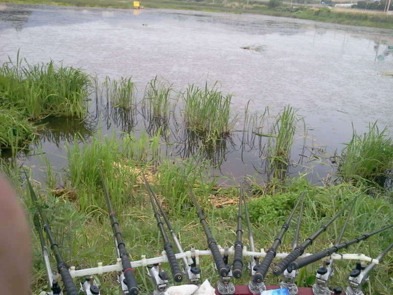 2011-05-28 19_freebd08352644.jpg