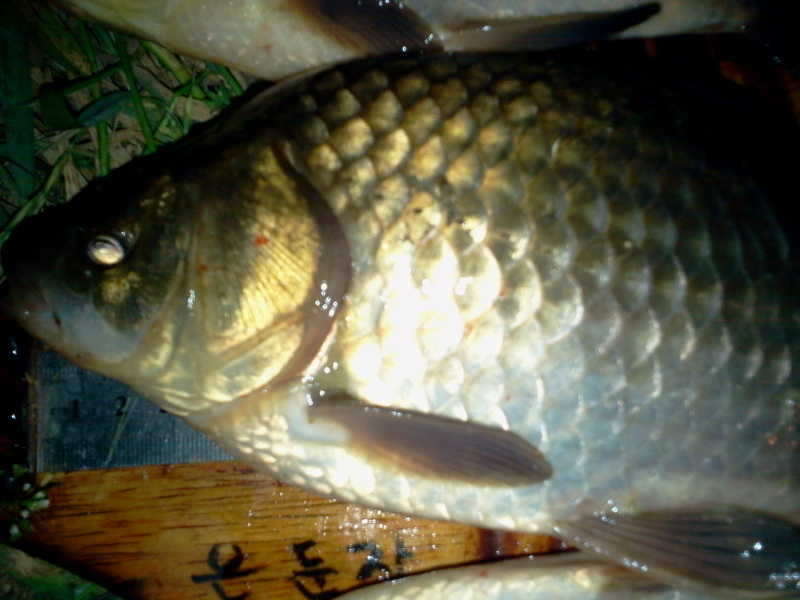 2011-05-29 01_freebd08345640.jpg