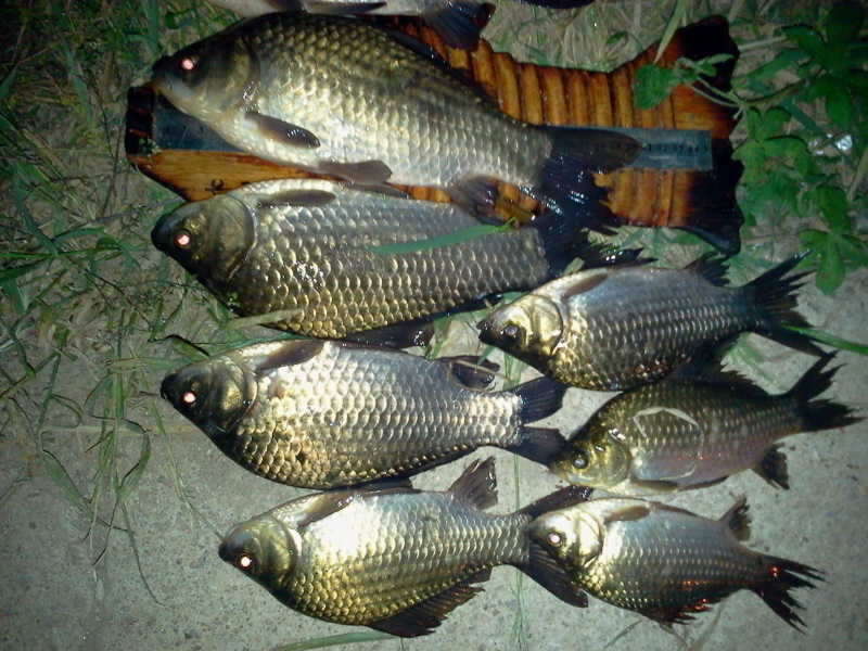 2011-05-29 01_freebd08351348.jpg