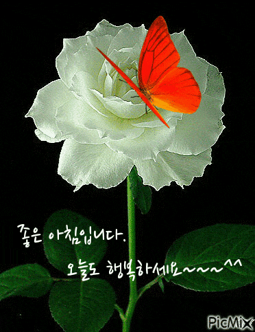 커뮤니티 > 자유게시판 > 화요일 출석부 열어요