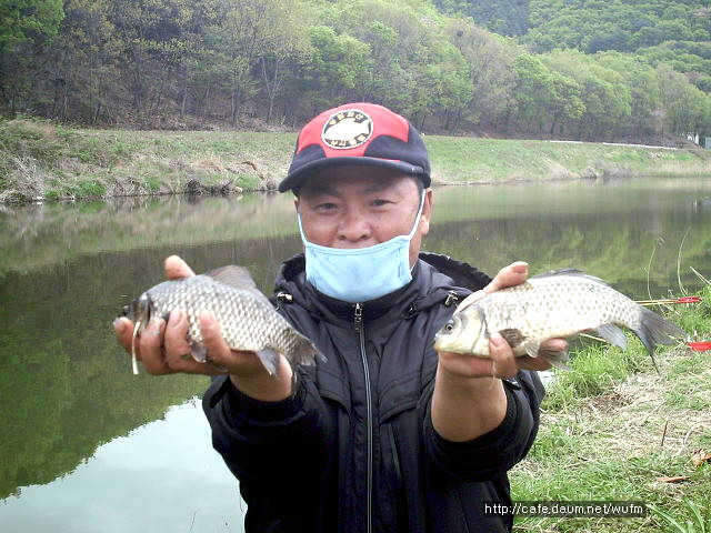 _johwang01255677.jpg
