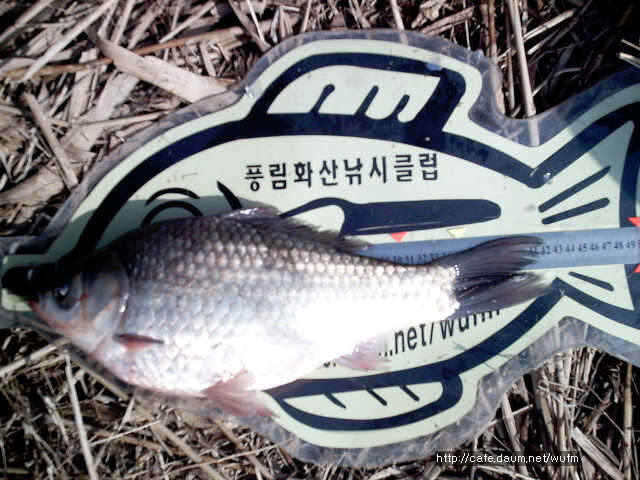 _johwang11110311.jpg