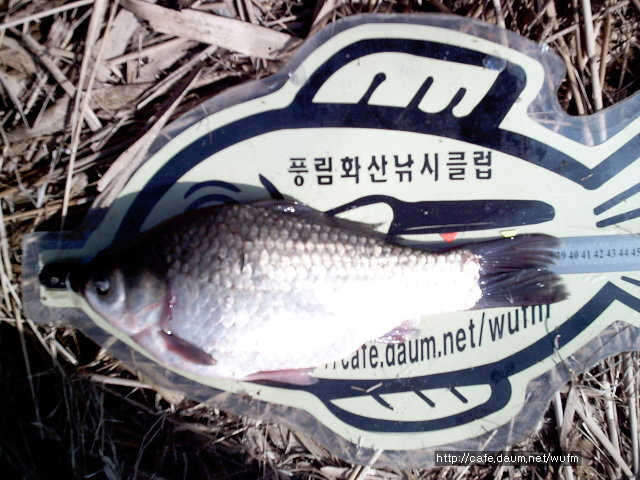 _johwang11113175.jpg