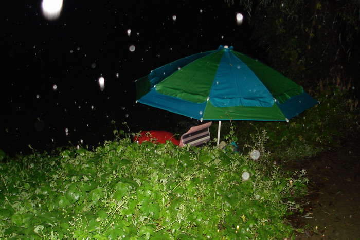 2_johwang06023922.jpg