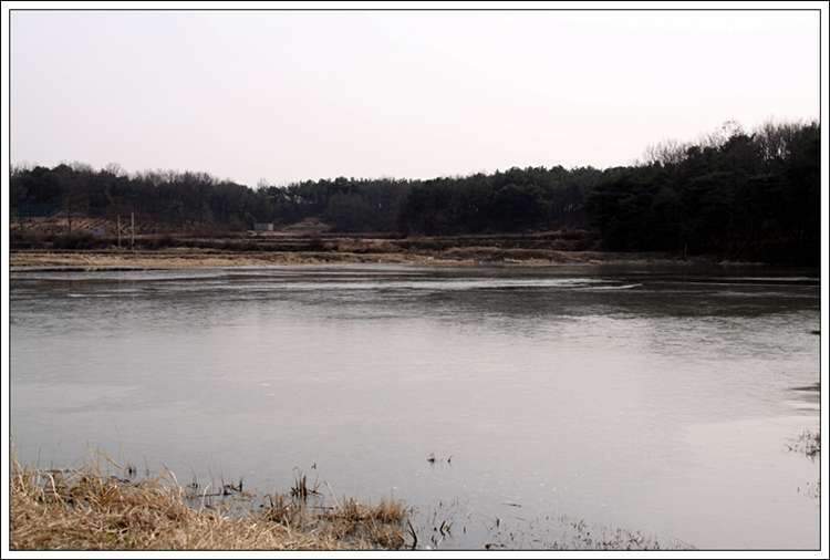 2호지 상류_johwang11004980.jpg