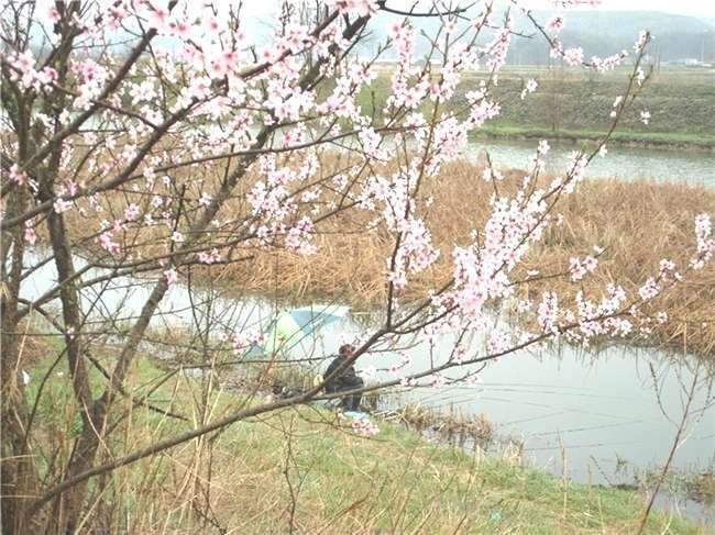 노조사_johwang07360321.jpg