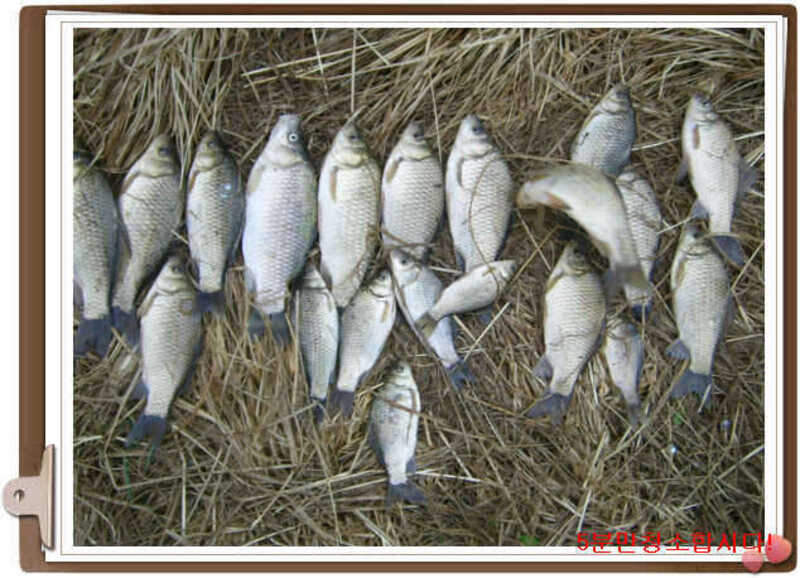 117전체조과3_johwang09023077.jpg